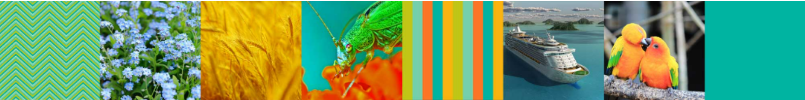 See It stimulus examples: colorful visual scenes including patterns, flowers, wheat, grasshopper, color stripes, cruise ship, and lovebirds